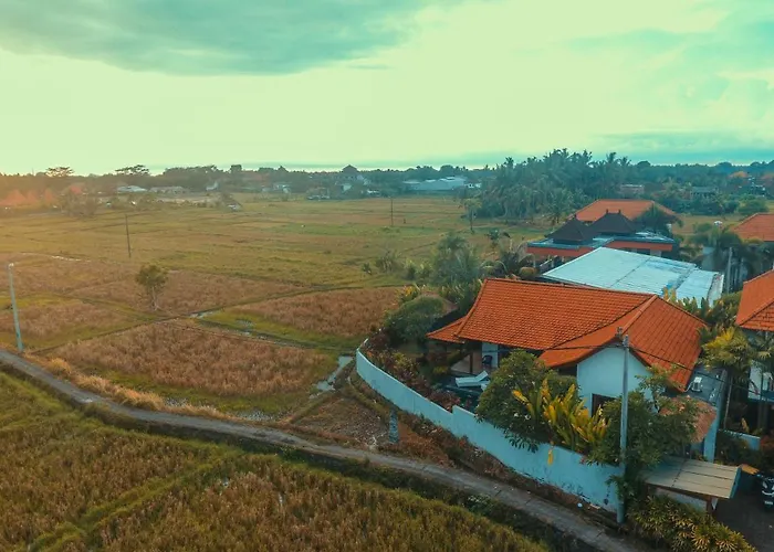 Villa Maya Ubud, Peaceful Rice Field View
