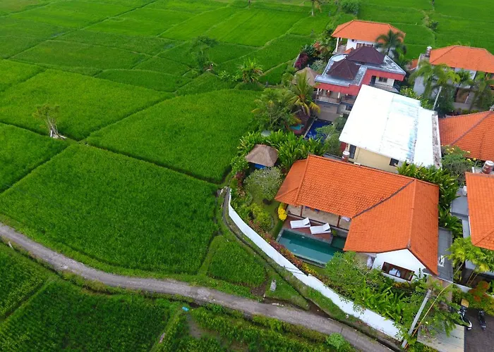 Villa Maya Ubud, Peaceful Rice Field View Ubud (Bali)