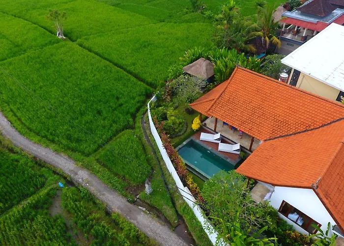 Villa Maya Ubud, Peaceful Rice Field View Ubud (Bali)