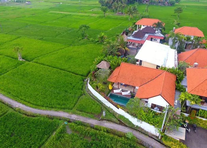 Maya Ubud, Peaceful Rice Field View Villa Ubud (Bali)